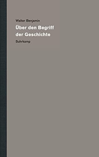 Werke und Nachlaß. Kritische Gesamtausgabe: Band 19: Über den Begriff der Geschichte