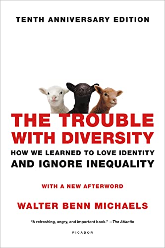 Trouble With Diversity: How We Learned to Love Identity and Ignore Inequality von Picador
