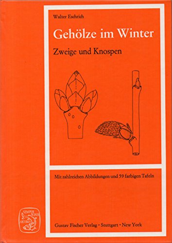 Gehölze im Winter, Zweige und Knospen