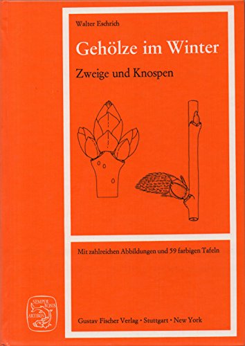 Gehölze im Winter, Zweige und Knospen von Spektrum Akademischer Verlag