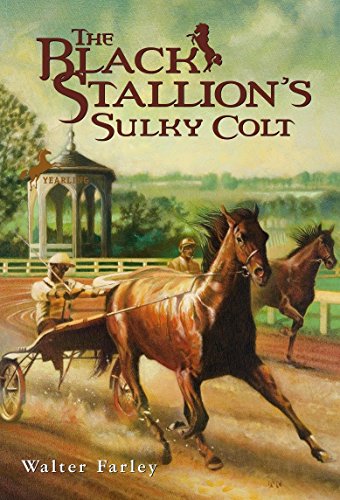 The Black Stallion's Sulky Colt von Yearling