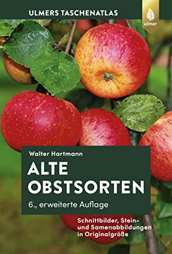 Alte Obstsorten: Schnittbilder, Stein- und Samenabbildungen in Originalgröße von Ulmer Eugen Verlag