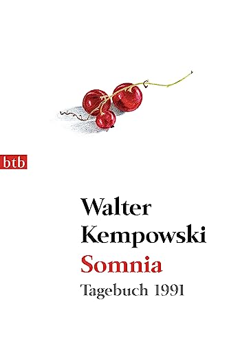 Somnia: Tagebuch 1991 (Tagebücher, Band 4)