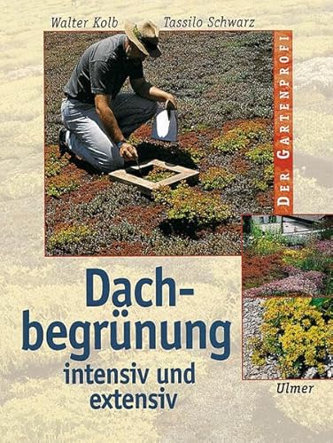 Dachbegrünung: Intensiv und extensiv