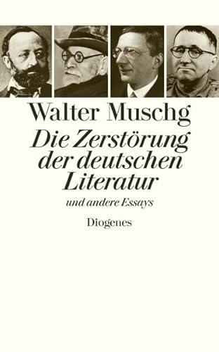 Die Zerstörung der deutschen Literatur: und andere Essays