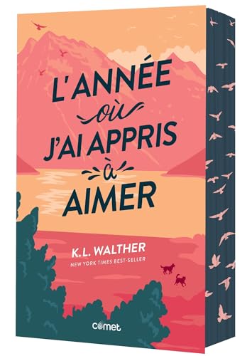 L'année où j'ai appris à aimer von COMET