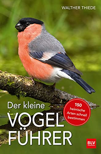 Der kleine Vogelführer: 150 heimische Arten schnell bestimmen (BLV Vögel) von Gräfe und Unzer