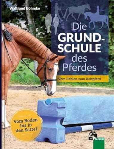 Die Grundschule des Pferdes: Vom Boden in den Sattel - Vom Fohlen zum Reitpferd von Busse