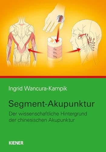 Segment-Akupunktur: Der naturwissenschaftliche Hintergrund der chinesischen Akupunktur