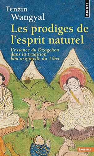 Les Prodiges de l'esprit naturel. L'essence du Dzogchen dans la tradition bön originelle du Tibet Les Prodiges de l'esprit naturel. L'essence du Dzogchen dans la tradition bön originelle du Tibet von Points
