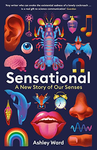 Sensational: A New Story of our Senses von Profile Books