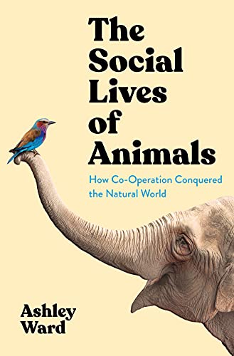 The Social Lives of Animals: How Co-operation Conquered the Natural World von Profile Books