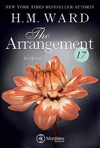 The Arrangement 17 (Die Familie Ferro, Band 17)