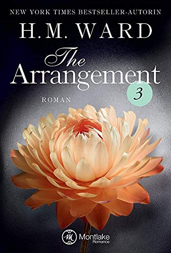 The Arrangement 3 (Die Familie Ferro, Band 3)