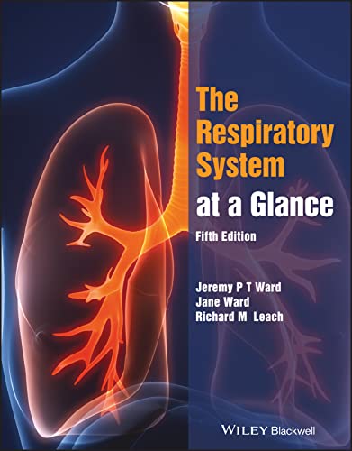 The Respiratory System at a Glance