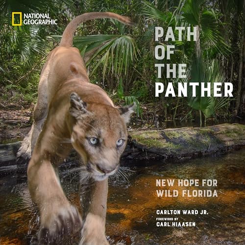 Path of the Panther: New Hope for Wild Florida von National Geographic