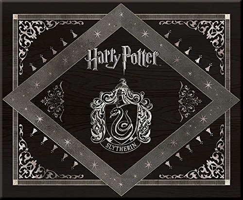 Harry Potter: Slytherin Deluxe Stationery Set von Simon & Schuster