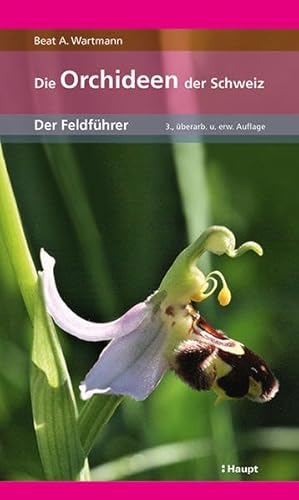 Die Orchideen der Schweiz: Der Feldführer von Haupt Verlag AG