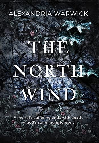 The North Wind (Four Winds, Band 1) von Andromeda Press