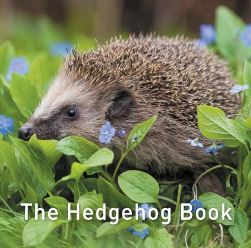 The Hedgehog Book: 1 von Graffeg