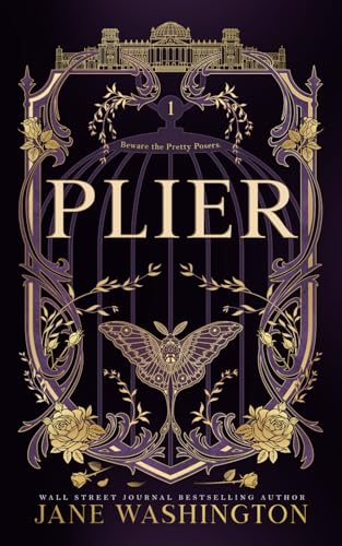 Plier (Ironside Academy, Band 1)