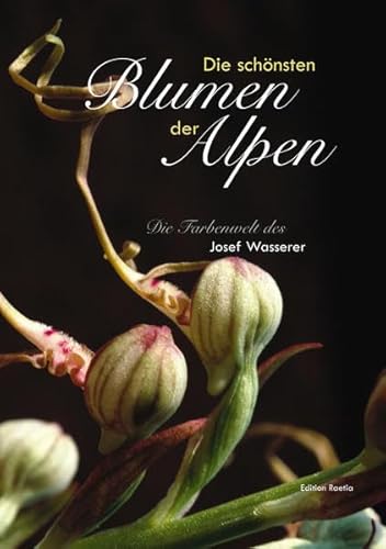Die schönsten Blumen der Alpen: Die Farbenwelt des Josef Wasserer