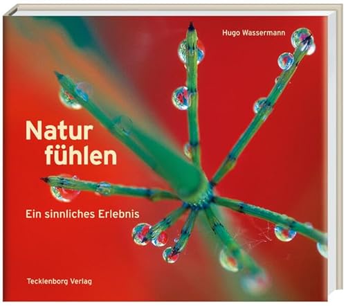 Natur fühlen: Bilder vermitteln Gefühle