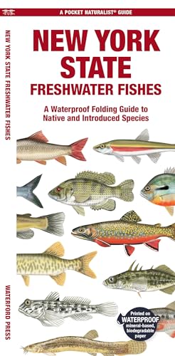 New York State Freshwater Fishes: A Waterproof Folding Guide to Native and Introduced Species (Pocket Naturalist Guides) von Waterford Press Ltd
