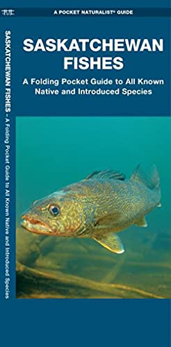 Saskatchewan Fishes: A Folding Pocket Guide to All Known Native and Introduced Species (Pocket Naturalist Guide)