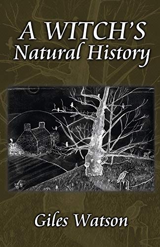 A Witch's Natural History von Llewellyn Publications