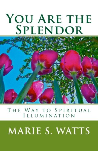 You Are the Splendor: The Way to Spiritual Illumination