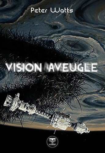 Vision aveugle