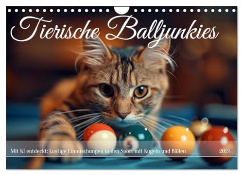 Tierische Balljunkies (Wandkalender 2025 DIN A4 quer), CALVENDO Monatskalender von CALVENDO