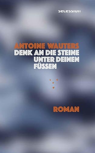Denk an die Steine unter Deinen Füssen: Roman