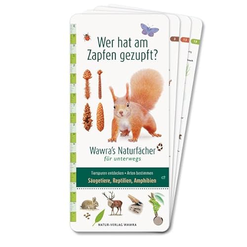 Wer hat am Zapfen gezupft? – Wawra's Naturfächer für unterwegs: Wendefächer mit 2x 21 Seiten spannendem Naturwissen