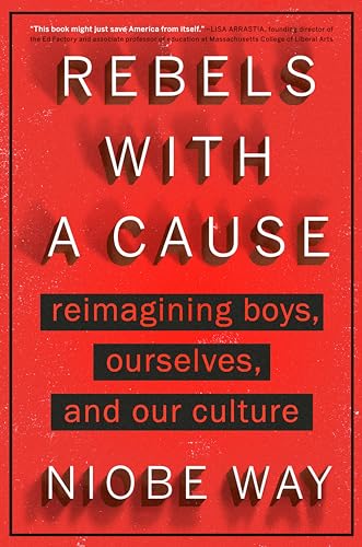 Rebels with a Cause: Reimagining Boys, Ourselves, and Our Culture von Dutton