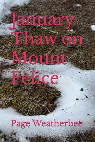 January Thaw on Mount Felice (Lake Felice Crew) von Tracey Nute