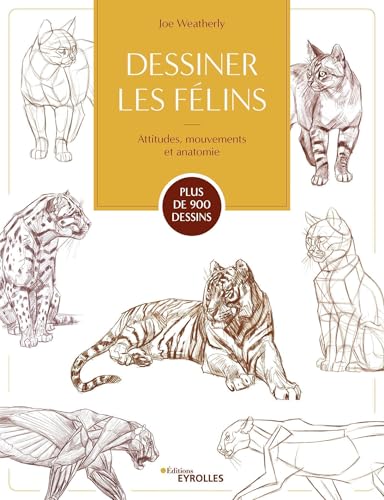 Dessiner les félins: Attitudes, mouvements et anatomie