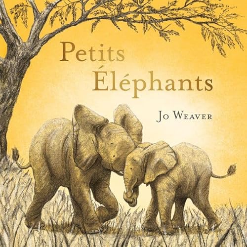 Petits éléphants