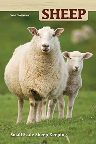 Sheep: Small Scale Sheep Keeping (Hobby Farm) von Fox Chapel Publishing