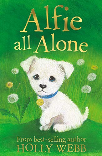 Alfie All Alone: 2 (Holly Webb Animal Stories (2))