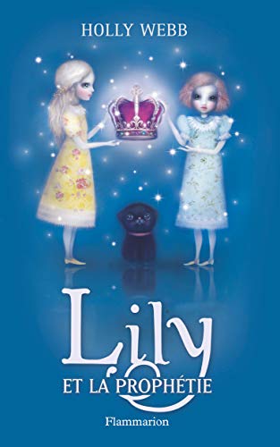 Lily et la prophetie: Lily et la prophétie von FLAMMARION