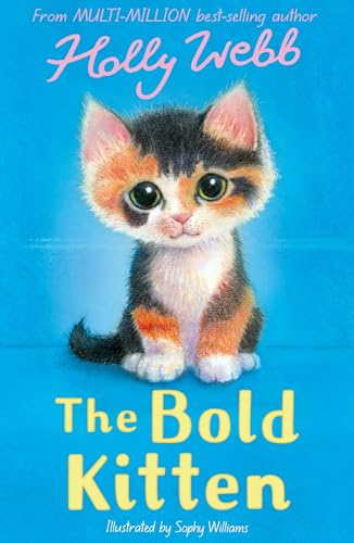 The Bold Kitten (Holly Webb: Animal Stories) von Little Tiger