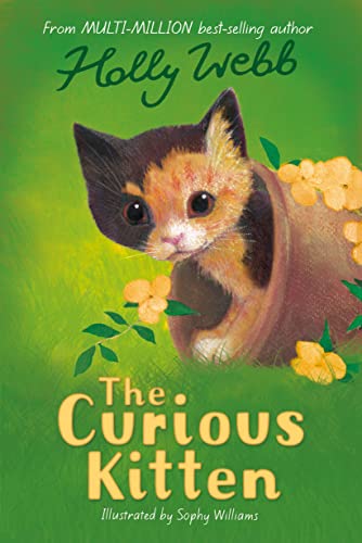 The Curious Kitten: 34 (Holly Webb Animal Stories, 34)