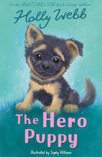 The Hero Puppy (Holly Webb: Animal Stories) von Little Tiger