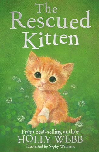 The Rescued Kitten (Holly Webb: Animal Stories, Band 39) von Little Tiger