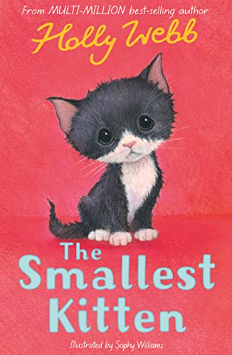 The Smallest Kitten (Holly Webb Animal Stories, Band 53)