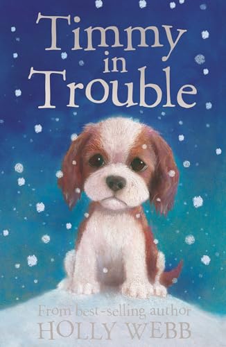 Timmy in Trouble: 7 (Holly Webb Animal Stories (7)) von Little Tiger