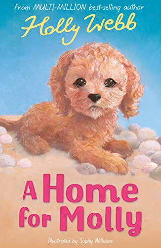 A Home for Molly (Holly Webb Animal Stories, Band 31) von Little Tiger