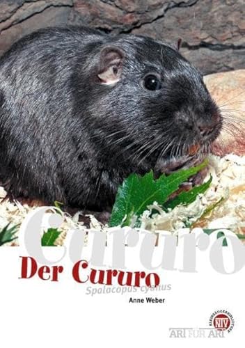 Der Cururo: Spalacopus cyanus (Buchreihe Art für Art Kleinsäuger)